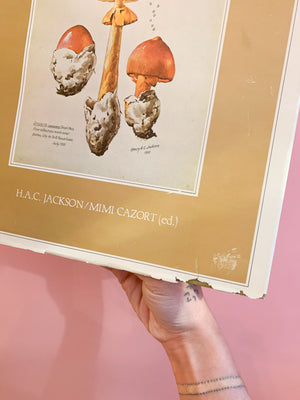 
            
                Load image into Gallery viewer, Mr Jackson’s Mushrooms Edited by Mimi Cazort
            
        