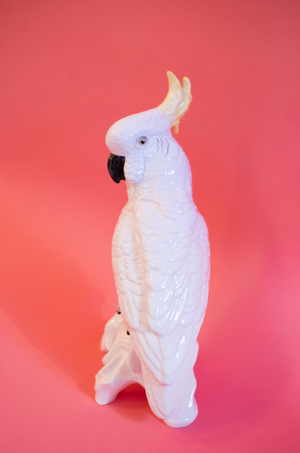 
            
                Load image into Gallery viewer, Mid-Century Modern Crown Staffordshire Cockatoo by J. T. Jones
            
        