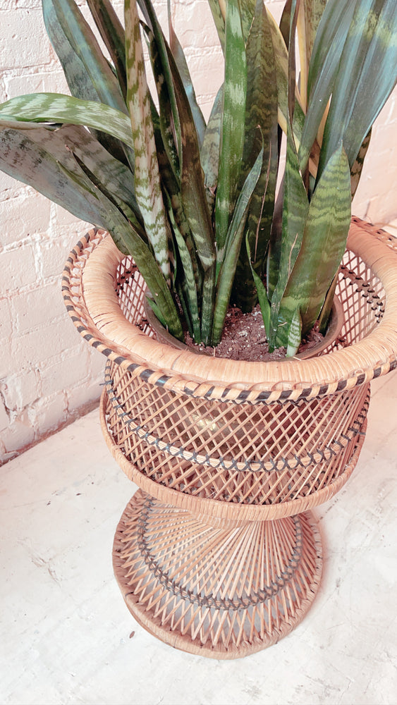 
            
                Load image into Gallery viewer, Vintage Rattan Plant Stand
            
        