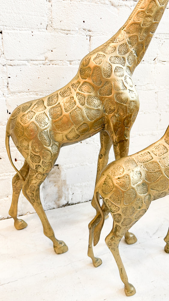 
            
                Load image into Gallery viewer, Vintage Brass Giraffes
            
        