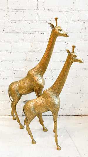 
            
                Load image into Gallery viewer, Vintage Brass Giraffes
            
        