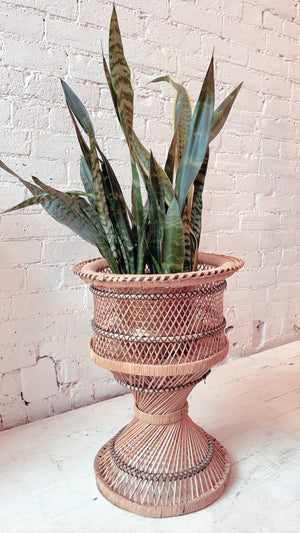 
            
                Load image into Gallery viewer, Vintage Rattan Plant Stand
            
        