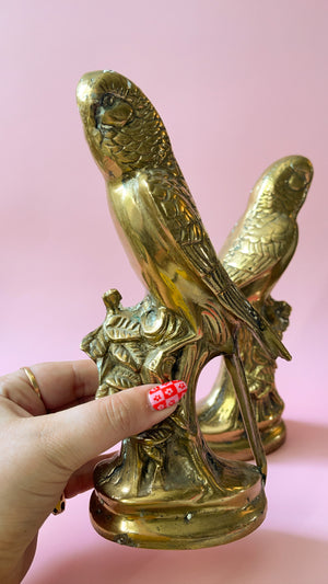 
            
                Load image into Gallery viewer, Brass Parrot Bookends
            
        
