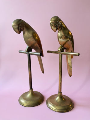 
            
                Load image into Gallery viewer, Brass Parrot on Perch
            
        