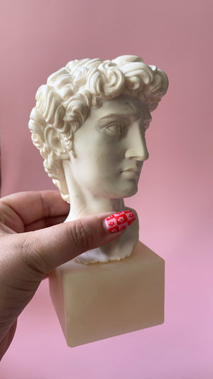 
            
                Load image into Gallery viewer, Vintage A. Giannelli Alabaster David Bust on Marble Base
            
        