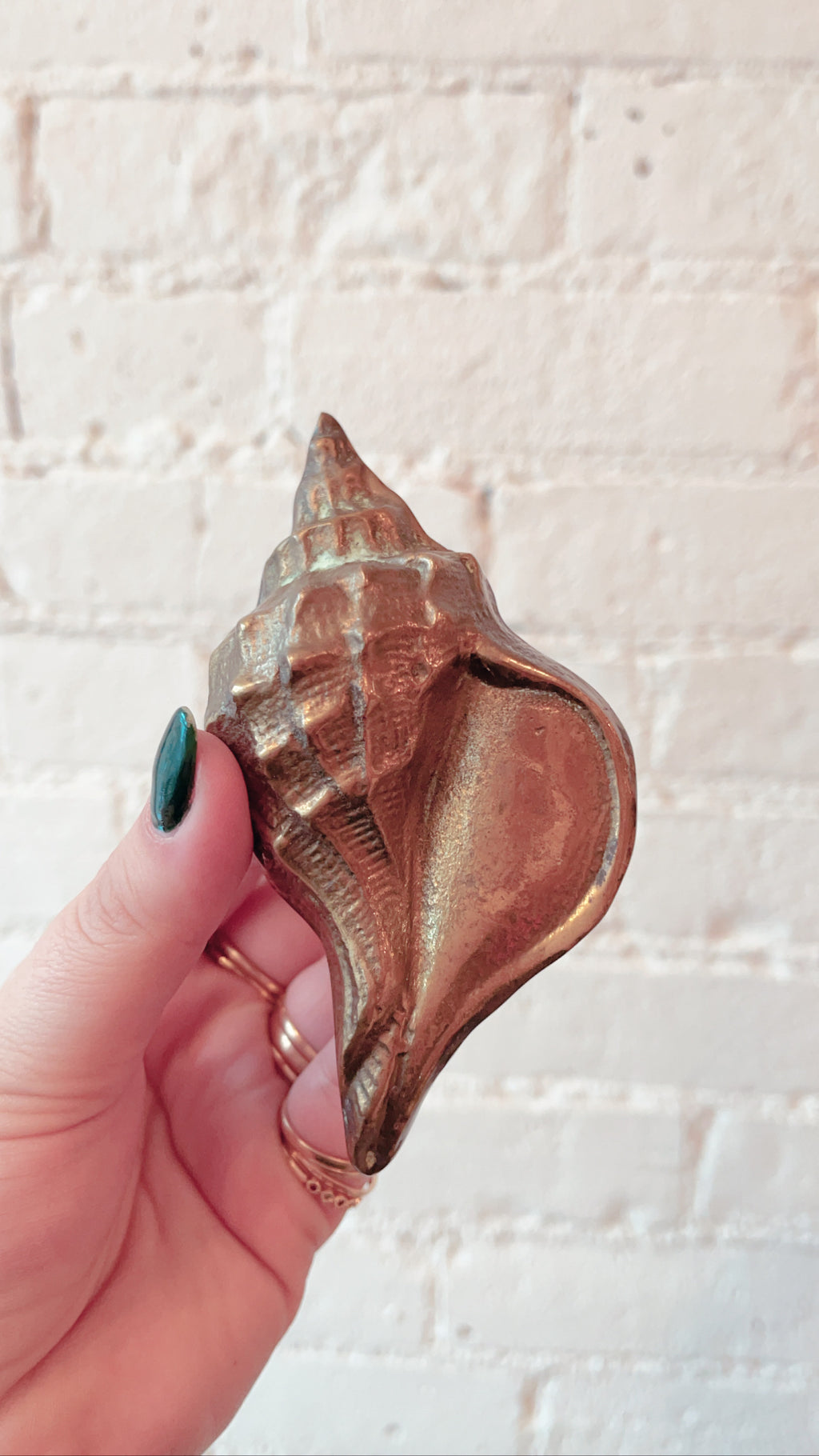 Brass Seashell – The Apartment TO