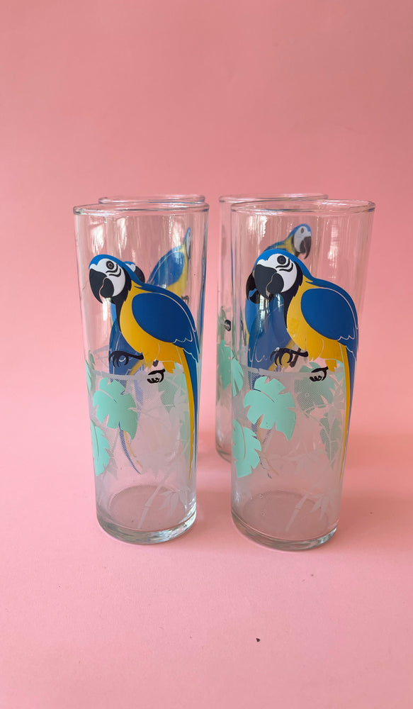 
            
                Load image into Gallery viewer, Vintage Parrot Collins Glasses
            
        
