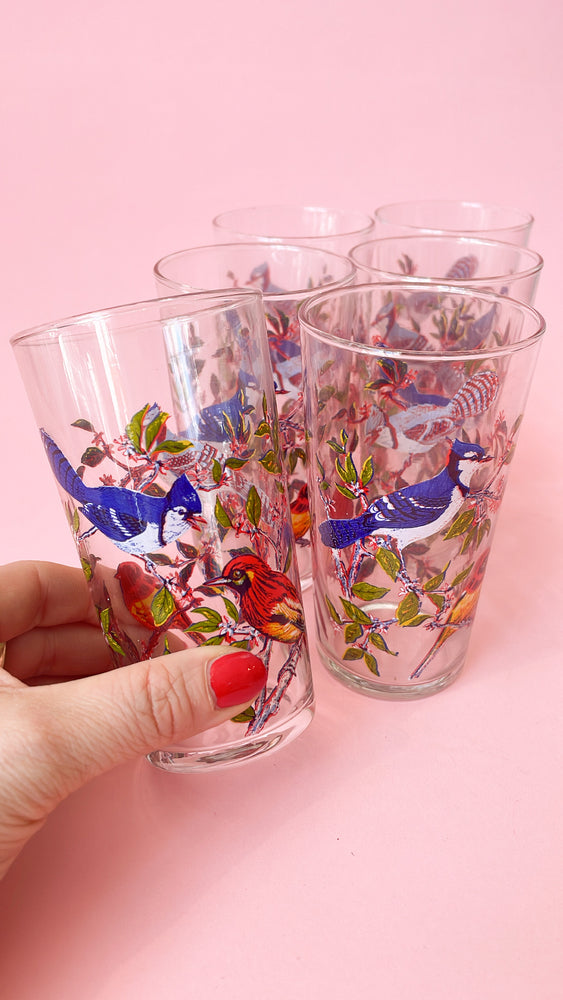 
            
                Load image into Gallery viewer, Vintage Luminarc Bird Glasses
            
        