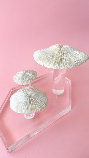 
            
                Load image into Gallery viewer, Vintage Coral and Lucite Mushroom Sculpture
            
        