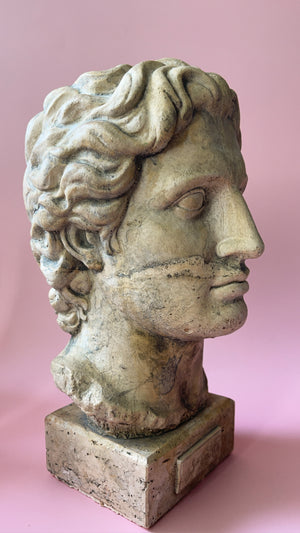 
            
                Load image into Gallery viewer, Vintage Alexander the Great Bust
            
        