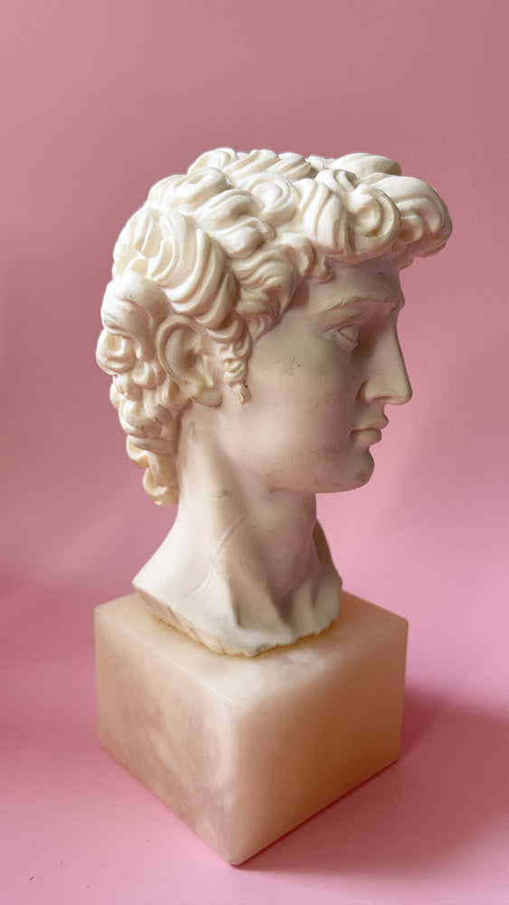 
            
                Load image into Gallery viewer, Vintage A. Giannelli Alabaster David Bust on Marble Base
            
        